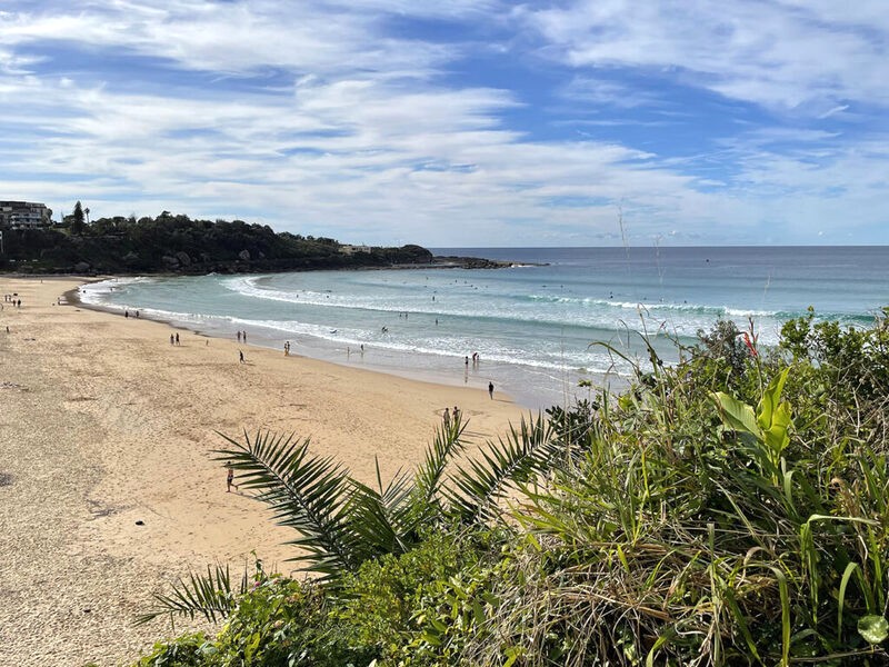 Lướt sóng ở Queenscliff! 🏄‍♂️ #escapeandexplore