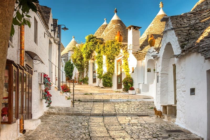 Khám phá lịch sử Alberobello qua tour đi bộ 2 giờ cùng người dân địa phương. (Ảnh: Travel for a while)