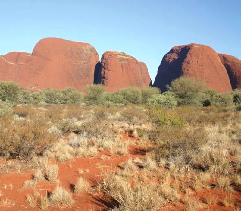 Kata Tjuta: Mái vòm đá hùng vĩ (Ảnh: Britannica)