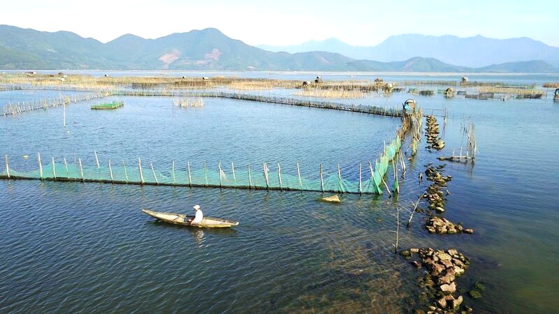 Nuôi hải sản đầm Cầu Hai. (Ảnh: Phong Nha Explorer)