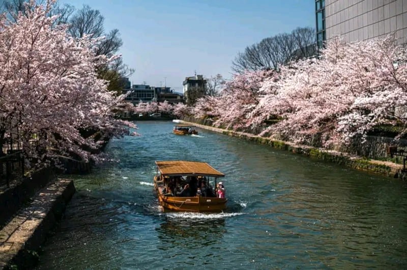 Kyoto, Nhật Bản: Nơi lý tưởng để du lịch chậm rãi khi khám phá Châu Á. (Ảnh: Dipendra Kumar Sahani)