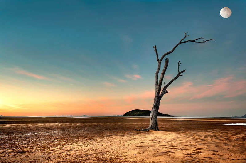 Bãi biển Shoal Point khi thủy triều xuống như một sa mạc nhỏ, trải dài mênh mông. (Ảnh: Danny Irvine Photography)