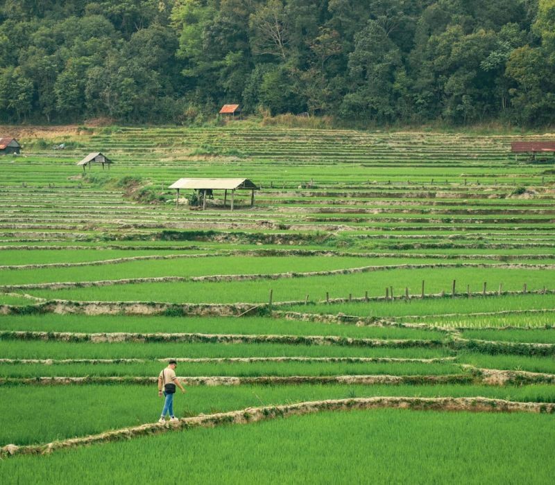 Cảnh quan gần homestay đẹp, đáng khám phá! (Ảnh: Toki Măng Đen)