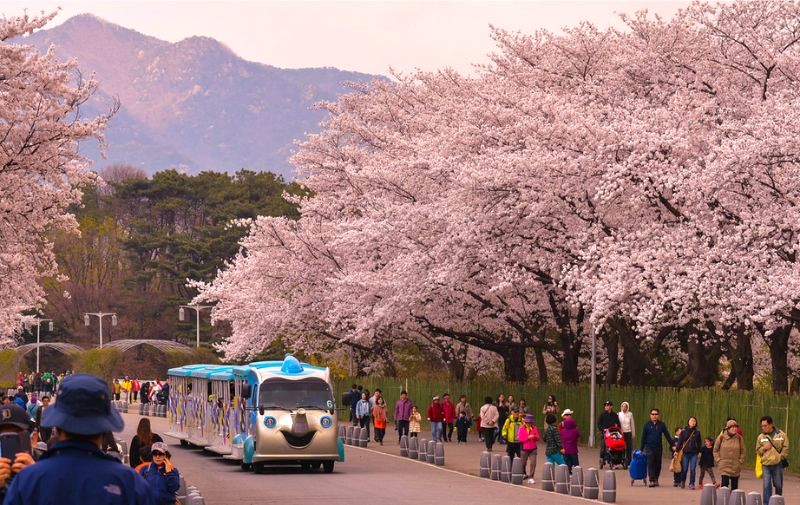 Công viên Seoul Grand, với không gian thoáng đãng, là điểm đến lý tưởng cho các gia đình và nhóm bạn vui chơi giải trí cuối tuần. (Ảnh: L K)