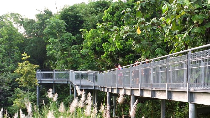 Hort, Kent Ridge, Telok Blangah tạo nên không gian xanh rộng lớn. (Ảnh: Nparks)