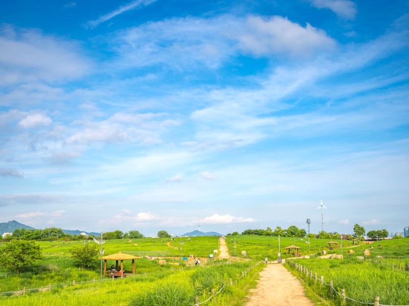 Hãy ghi nhớ những lưu ý trên để trải nghiệm Haneul Park trọn vẹn. (Ảnh: Seoul Metropolitan Government)