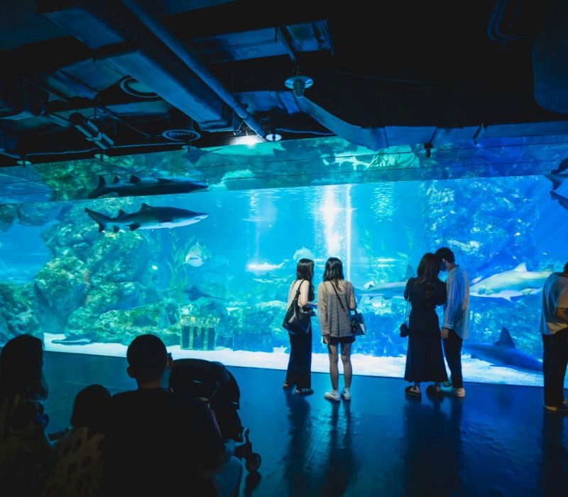 Thủy cung Coex Aquarium: độc đáo giữa lòng Seoul (Ảnh: iViVU)