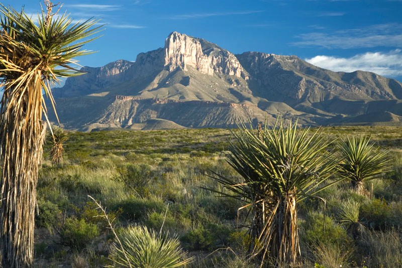 Núi Guadalupe: Điểm cao nhất Texas (Britannica)