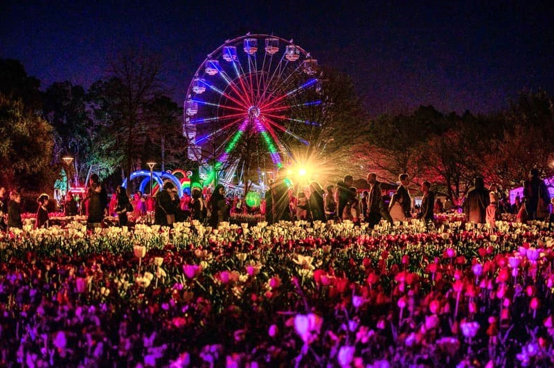 Lễ hội hoa Floriade: Night Fest - Trải nghiệm ấn tượng!