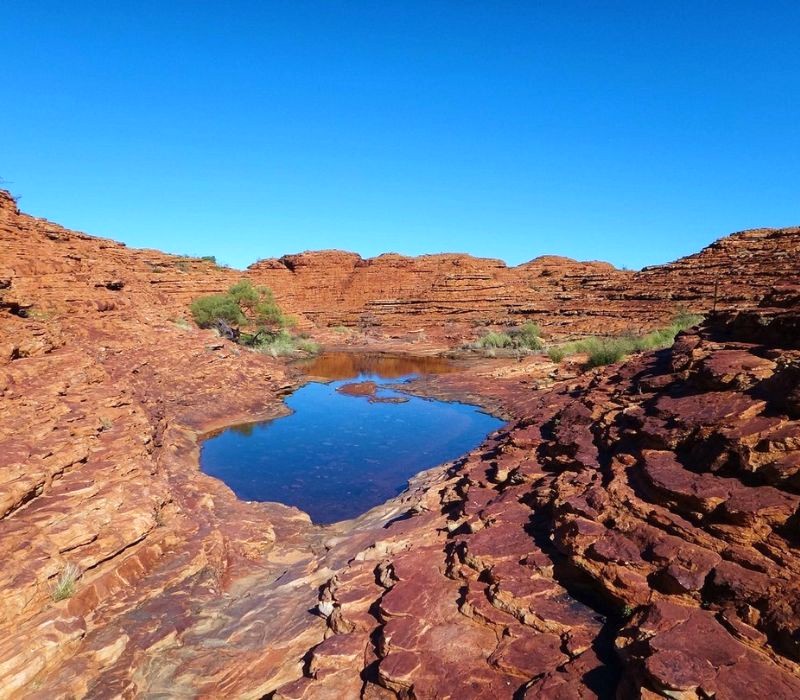 Hẻm núi Kings Canyon - độc đáo! (Ảnh: Tripadvisor)