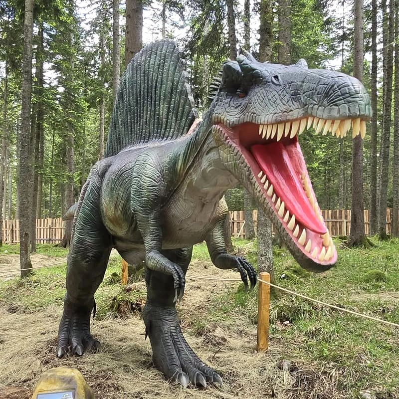 Khám phá Dino Park: Lưu ý cho chuyến tham quan thú vị! 🦖 (91 ký tự)