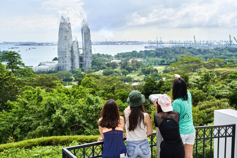 Từ công viên Mount Faber, du khách chiêm ngưỡng cảnh thiên nhiên xanh mát và thành phố hiện đại sầm uất. (Ảnh: Timeout)