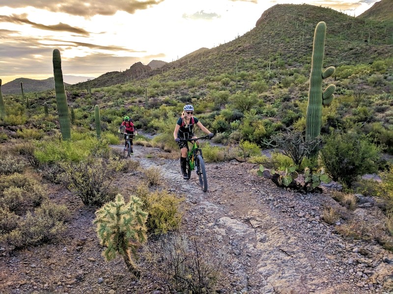 Khám phá Arizona trọn vẹn: Từ A đến Z!