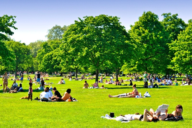 Hyde Park: Nơi thiên nhiên thơ mộng giữa lòng London (Nguồn: International Traveller)