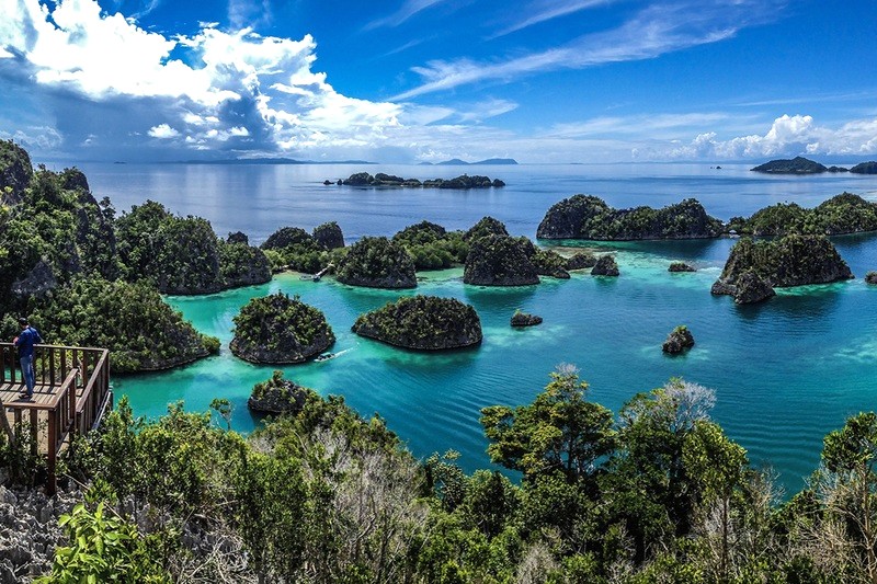 Telaga Bintang (Star Lagoon), đầm phá hình sao lung linh giữa biển. (Ảnh: papuaparadise)