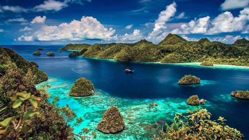 Papua, tỉnh rộng lớn nhất Indonesia. (Ảnh: Vajiramandravi)