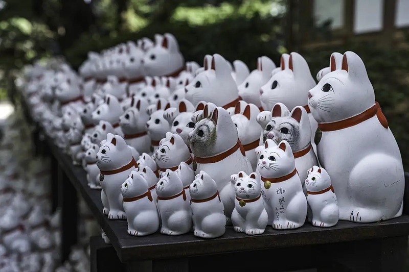 Maneki Neko, biểu tượng may mắn của Nhật Bản. (Ảnh: tokyo-in-pics)