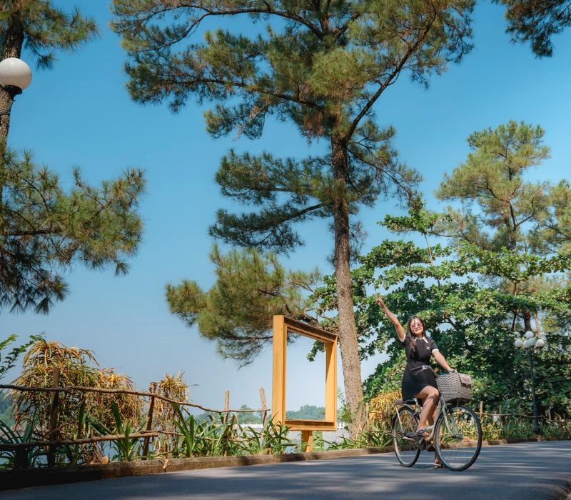 Hít thở không khí trong lành tại đồi thông hồ Đồng Chương. 🏞️