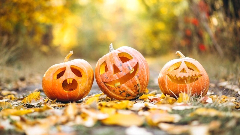 Lễ hội Halloween diễn ra vào ngày 30/10 hàng năm. (Ảnh: Mayur Gadge/Pixabay)