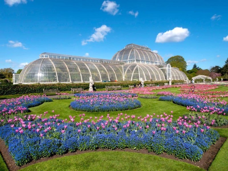 Kew Gardens, khu vườn đẹp nhất London, tự hào sở hữu bộ sưu tập thực vật đa dạng bậc nhất thế giới. (Ảnh: Charles Bowman/Shutterstock)