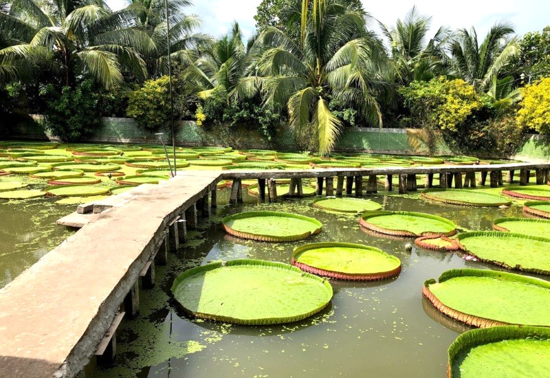 Chùa Phước Kiển: Không gian thanh tịnh, mát mẻ. (Ảnh: thamhiemmekong)