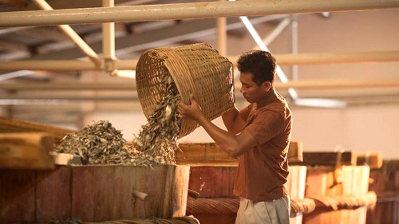 Nghề làm nước mắm truyền thống ở Phú Yên được hình thành từ các làng chài ven biển. (Ảnh: Phòng Văn Hoá Và Thông Tin Thị Xã Sông Cầu)