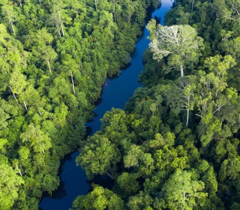 Taman Negara đẹp nhất từ tháng 3 đến tháng 8 (mùa khô).