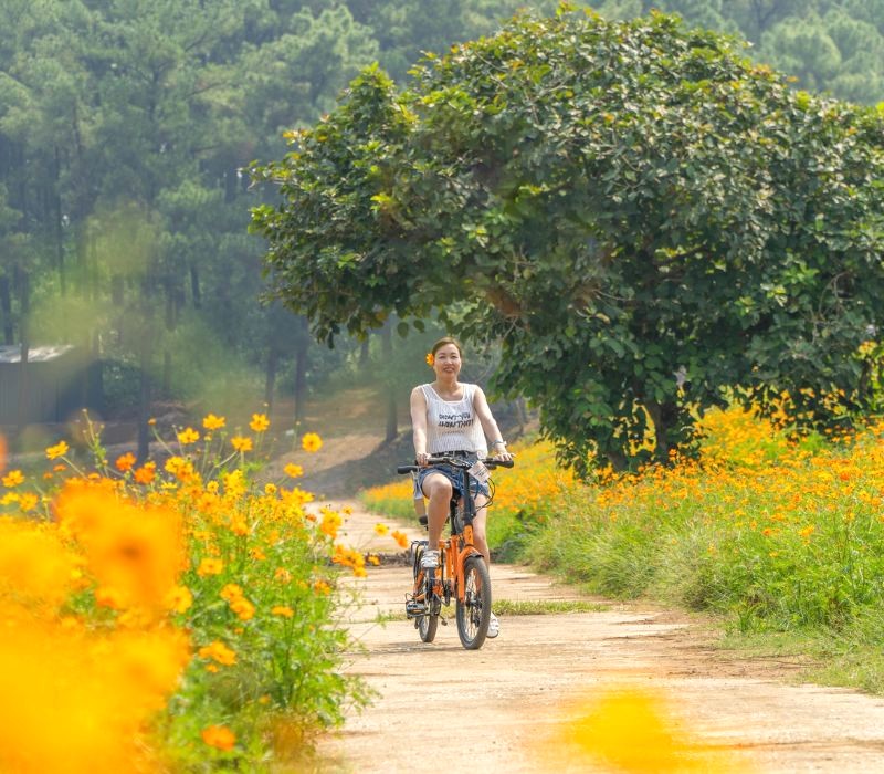 Đồi thông hồ Đồng Chương đẹp mê hồn với rừng thông xanh ngút ngàn.