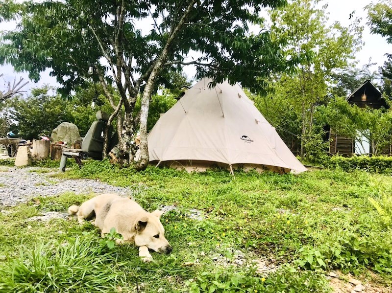 Tà Xùa Hills Homestay kết hợp hài hòa giữa kiến trúc hiện đại tinh tế và nét mộc mạc truyền thống của vùng cao Tây Bắc, tạo nên vẻ đẹp độc đáo.