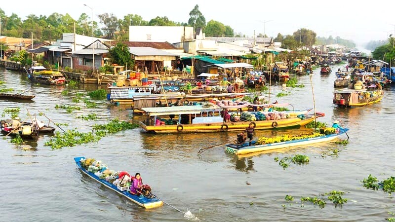 Mùa nước nổi, còn gọi là mùa lũ sông Cửu Long. (Ảnh: sacotravel)