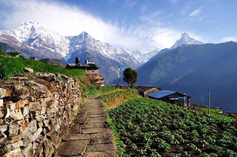 Mùa thu và xuân là thời điểm lý tưởng để trekking Annapurna. (Ảnh: Shepherd Holidays)