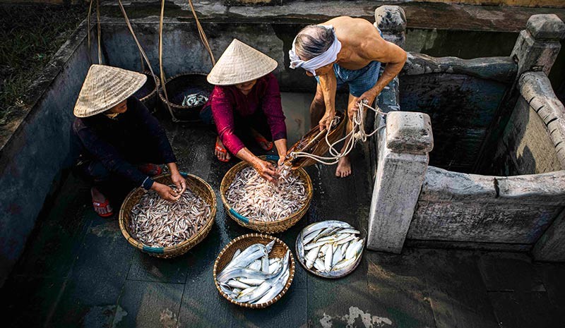 Nước mắm Nam Ô: Lịch sử hàng trăm năm. (Ảnh: huonglangco)