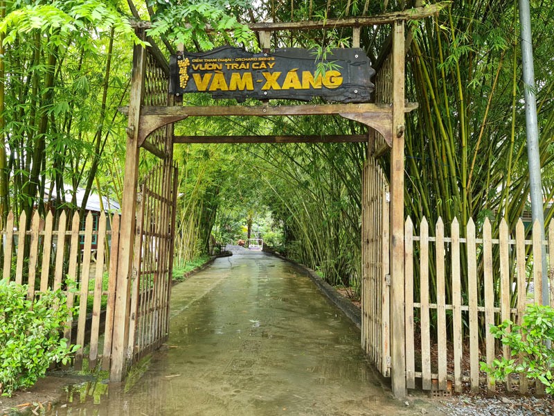 Vườn trái cây Cần Thơ Vàm Xáng: Rặng tre xanh, hồn Việt Nam. (Ảnh: Bình Phương Nguyễn (Mast))