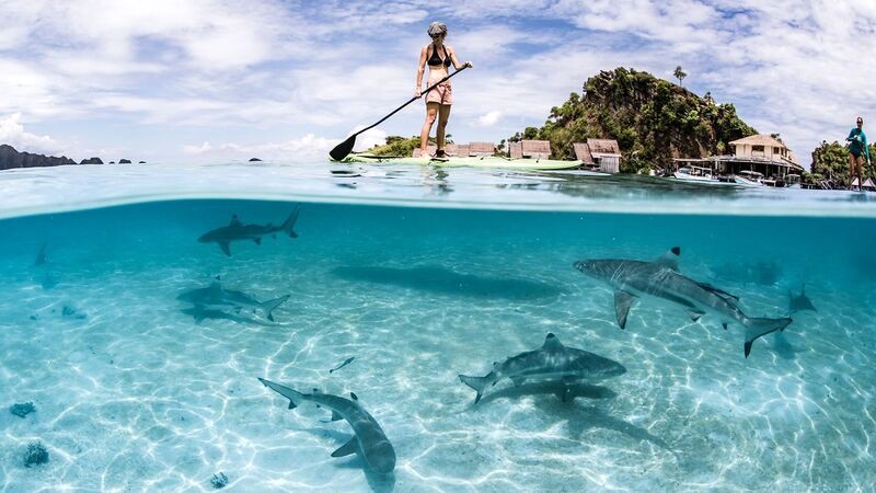 Raja Ampat: Thiên đường trải nghiệm dưới nước đầy mê hoặc. (Ảnh: Shawn Heinrichs)