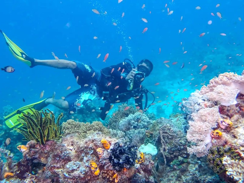 Đảo Tioman, với hệ sinh thái phong phú và vẻ đẹp hoang sơ, hứa hẹn mang đến những trải nghiệm lặn biển tuyệt vời. (138 ký tự)