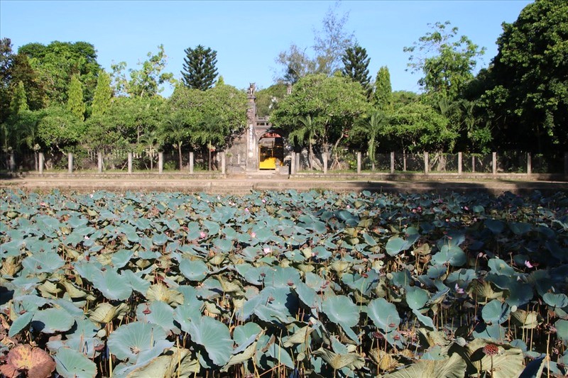 Hồ sen dẫn lối vào chùa.