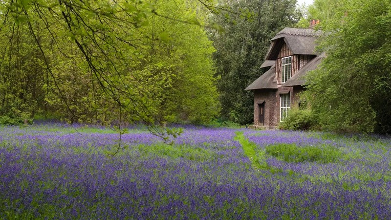 Công chúa Elizabeth trang trí Queen Charlotte's Cottage tại Kew Gardens. (Ảnh: Kew Gardens)