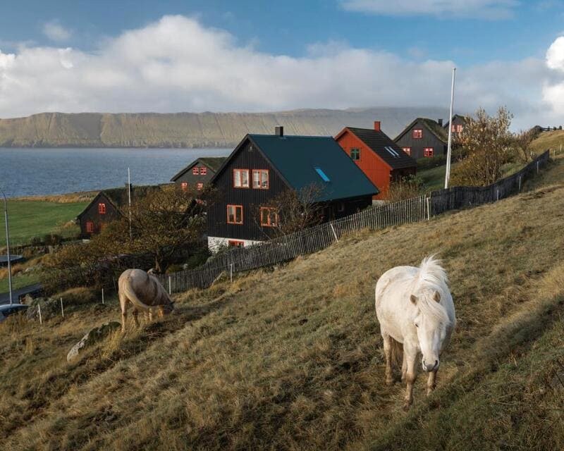 Làng Kirkjubour: thanh bình, quyến rũ (Ảnh: visitfaroeislands).