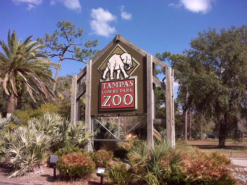 Zoo Tampa tại Lowry Park (25 hecta) là điểm đến lý tưởng cho những ai yêu thiên nhiên và động vật. (149 kí tự)