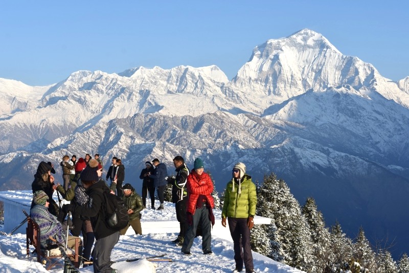 Poon Hill: Điểm ngắm bình minh tuyệt đẹp tại Annapurna (Ảnh: Pioneer Adventure).