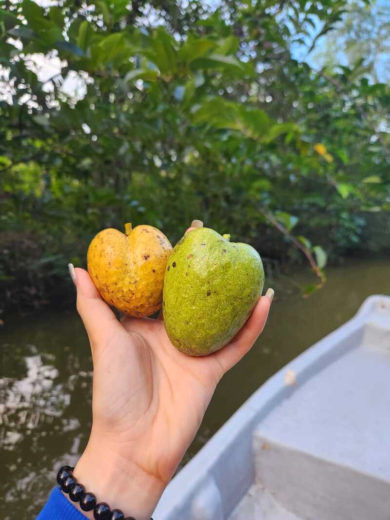 Trải nghiệm cuộc sống nông dân đích thực, thu hoạch tại Mimosa Farmstay - điều đặc biệt chỉ có ở đây!