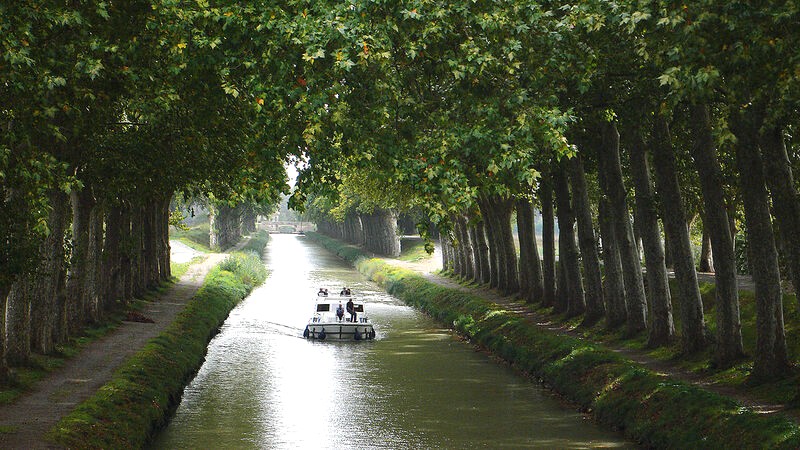 Khám phá Toulouse: Nét đẹp thơ mộng, nghệ thuật Pháp.