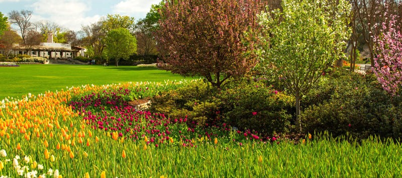 Thiên đường hoa Dallas Arboretum rực rỡ bên hồ White Rock thanh bình. (87 kí tự)