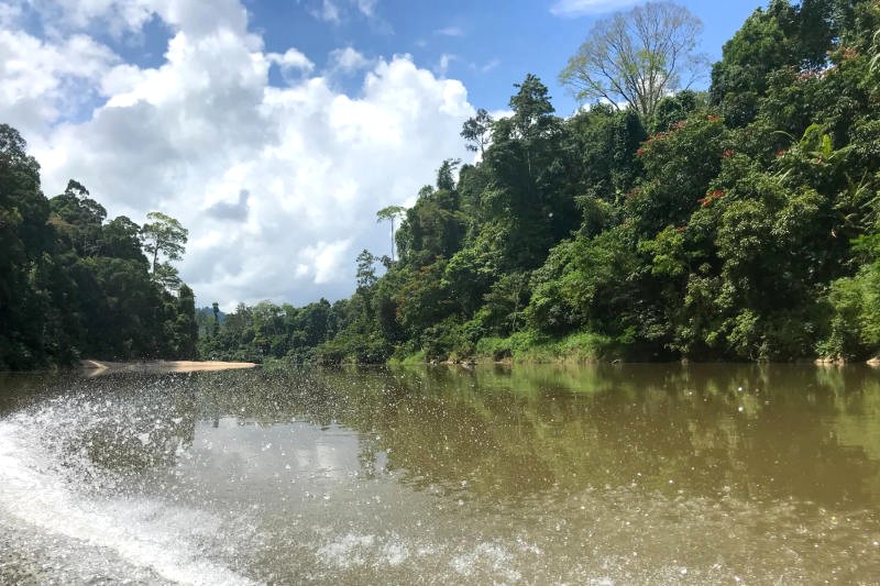 Bỏ túi những lời khuyên hữu ích trước khi lên đường! 🎒 Ảnh: South East Asia Backpacker