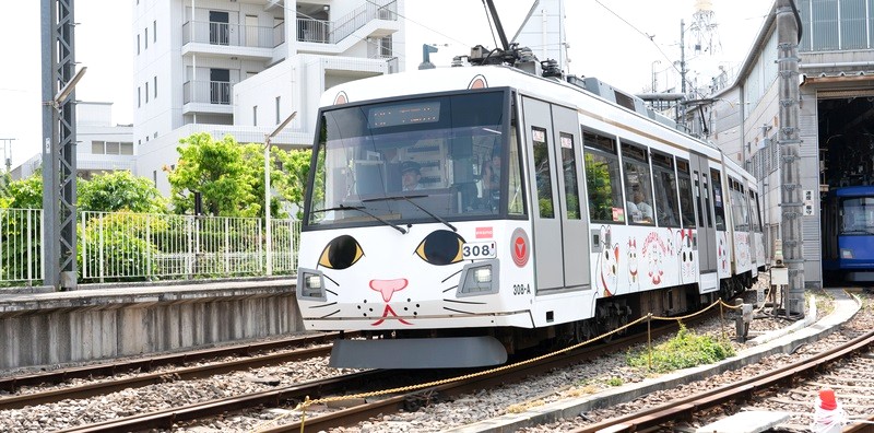 Tàu mèo may mắn đáng yêu! (Ảnh: sg50th.tokyo)